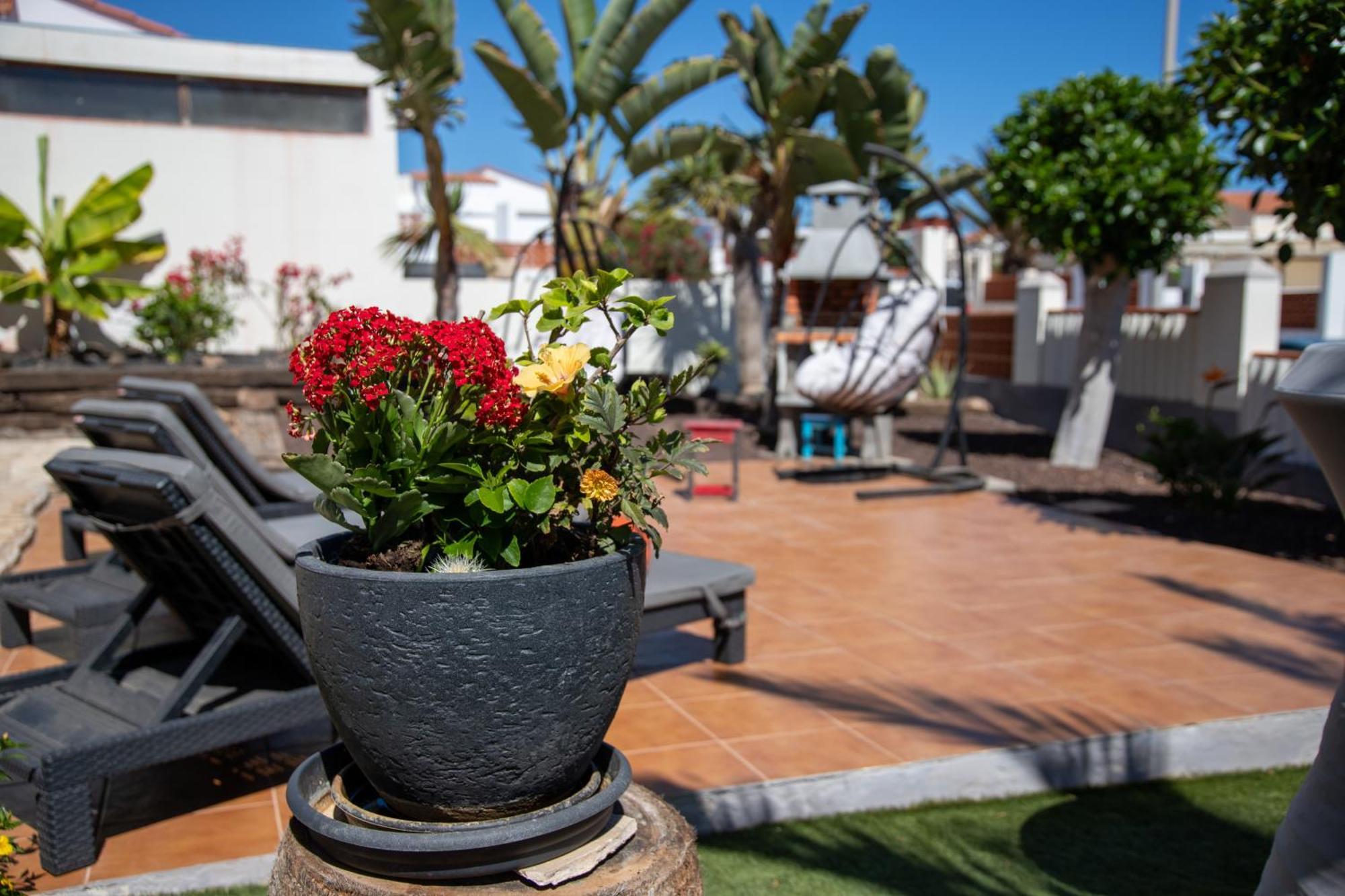 Casa Las Palmeras Parque Holandes Екстериор снимка