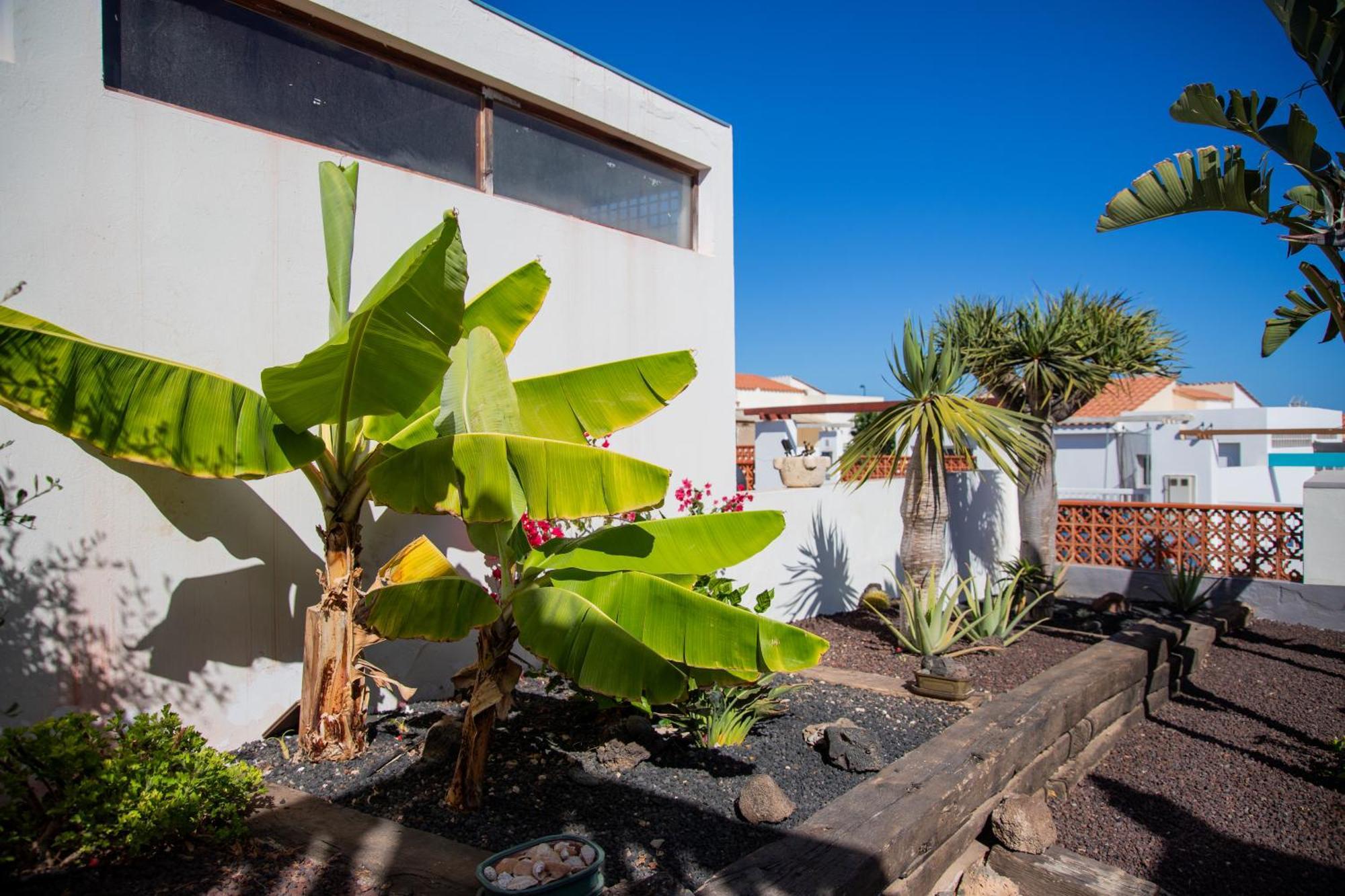 Casa Las Palmeras Parque Holandes Екстериор снимка